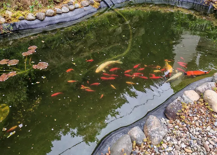 Apartamento Traumhafte Neidenfels